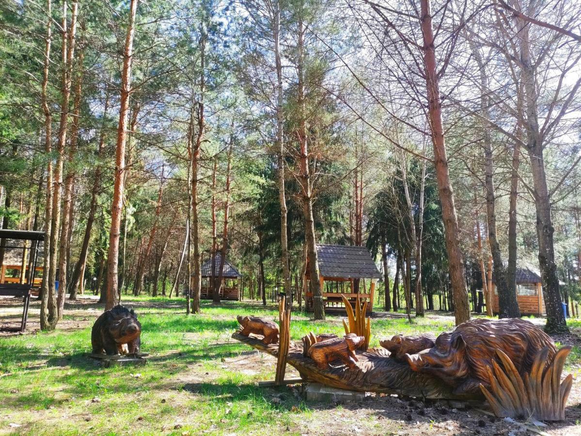 Hotel Мисливець В Комплексі "Сокіл" Susk Exterior foto